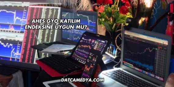 Ahes GYO Katılım Endeksine Uygun mu?