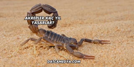 Akrepler Kaç Yıl Yaşarlar?
