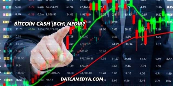 Bitcoin Cash (BCH) Nedir?
