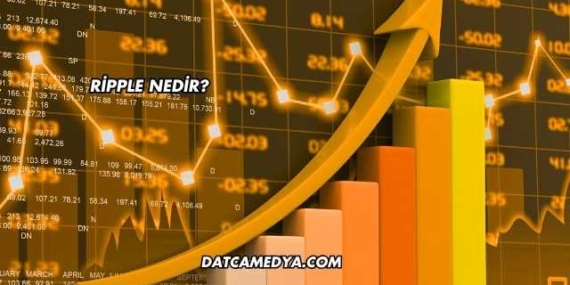 Ripple Nedir?