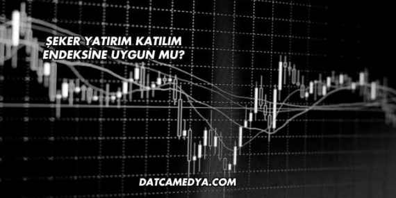 Şeker Yatırım Katılım Endeksine Uygun mu?