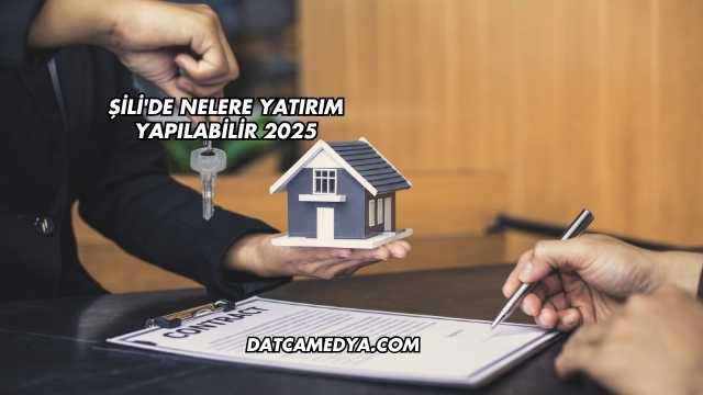 Şili'de Nelere Yatırım Yapılabilir 2025