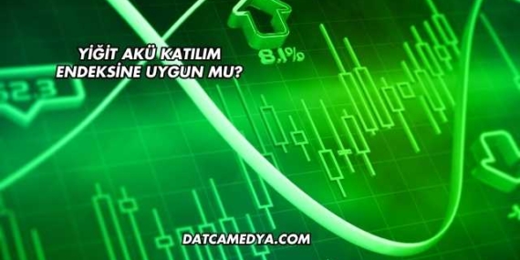 Yiğit Akü Katılım Endeksine Uygun mu?