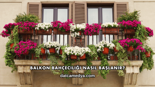 Balkon Bahçeciliği Nasıl Başlanır?