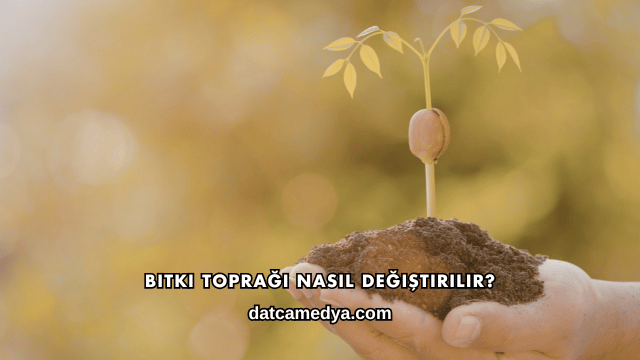 Bitki Toprağı Nasıl Değiştirilir?