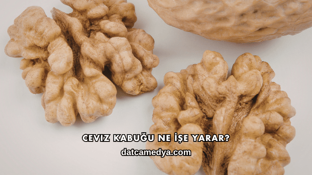 Ceviz Kabuğu Ne İşe Yarar?