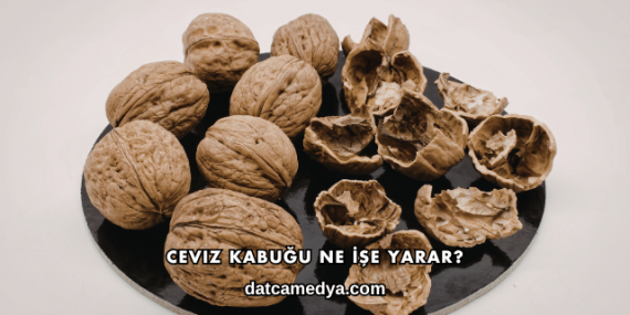 Ceviz Kabuğu Ne İşe Yarar?