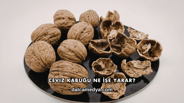 Ceviz Kabuğu Ne İşe Yarar?