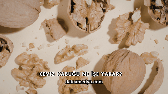 Ceviz Kabuğu Ne İşe Yarar?