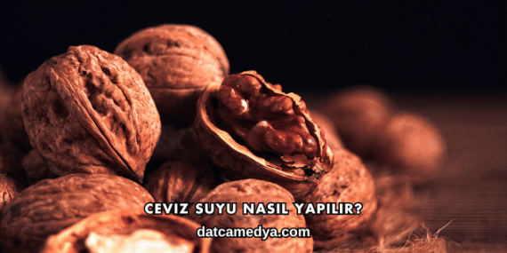 Ceviz Suyu Nasıl Yapılır?