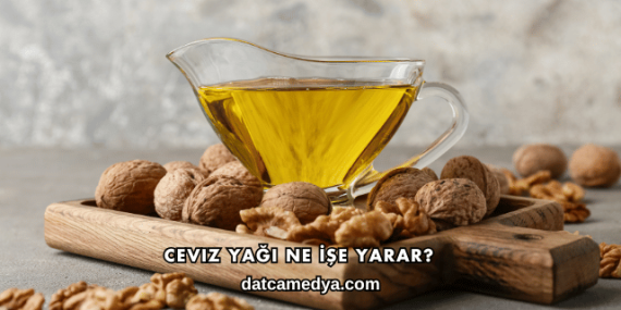 Ceviz Yağı Ne İşe Yarar?