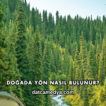 Doğada Yön Nasıl Bulunur?