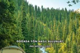 Doğada Yön Nasıl Bulunur?