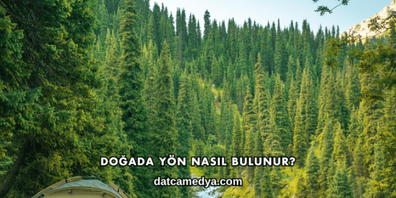 Doğada Yön Nasıl Bulunur?