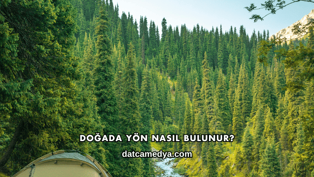 Doğada Yön Nasıl Bulunur?
