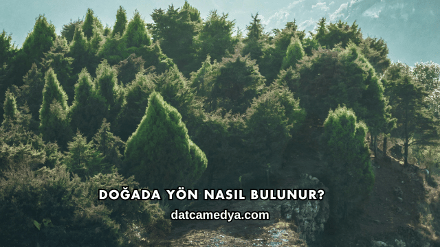 Doğada Yön Nasıl Bulunur?