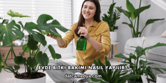 Evde Bitki Bakımı Nasıl Yapılır?