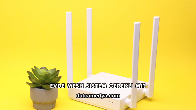 Evde Mesh Sistem Gerekli mi?