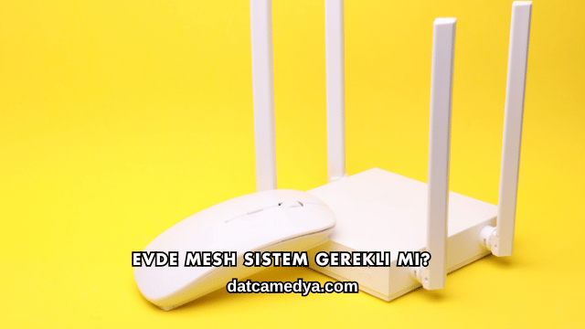 Evde Mesh Sistem Gerekli mi?