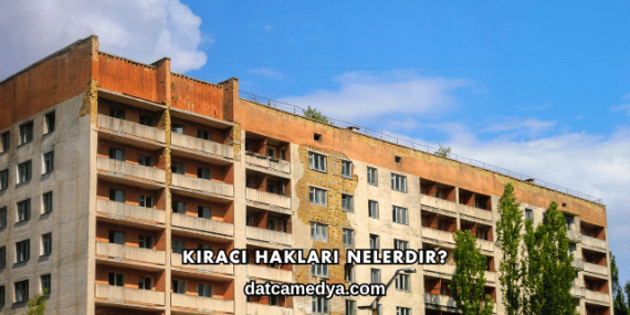 Kiracı Hakları Nelerdir?