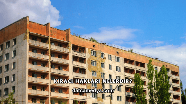 Kiracı Hakları Nelerdir?